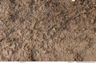 photo texture of soil mud